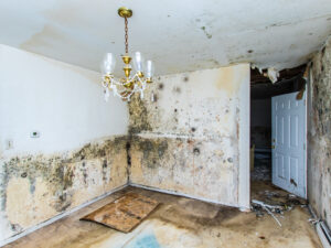 Water,Damage,Causing,Mold,Growth,On,The,Interior,Walls,Of